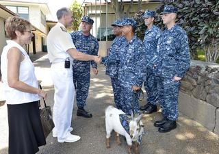 Illustration for article titled Seafaring "Salty Goat" Sinks Navy Cruiser Captain's Career